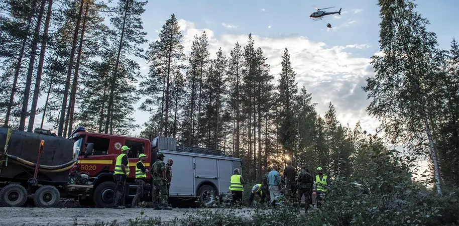 Rescue team in the woods